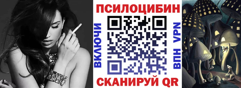 даркнет как зайти Ефремов Галлюциногенные грибы мицелий