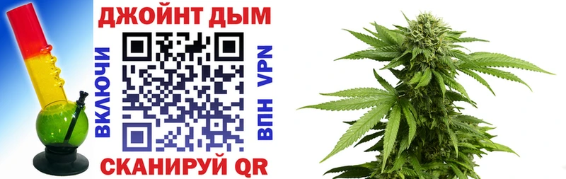 Бошки Шишки план  Ефремов 
